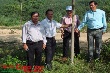 Cao su Quảng Nam, Quảng Ngãi, Nam Giang: Triệt để tiết kiệm, ổn định SXKD